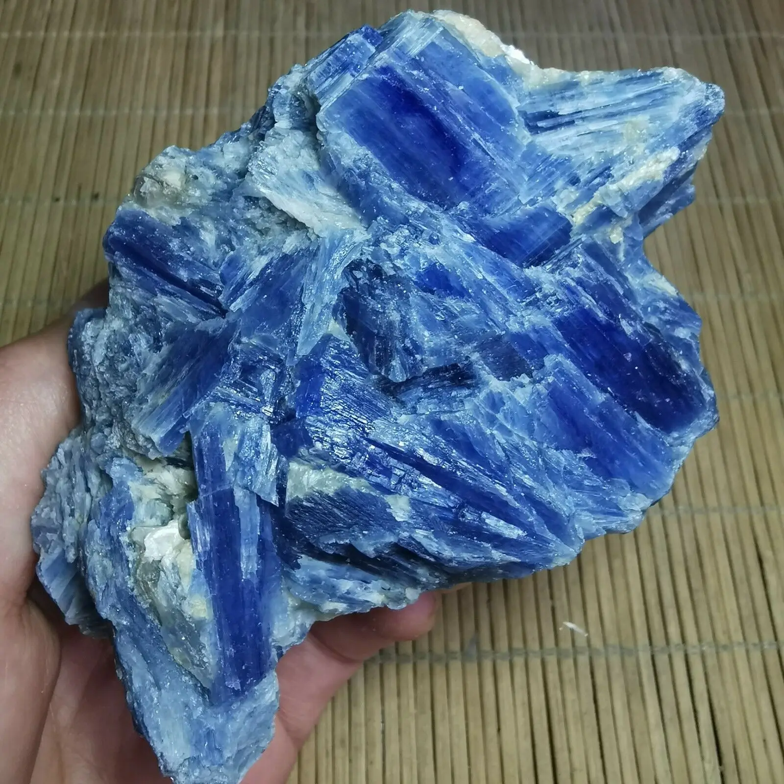 Retas Mėlyna Kristalų Gamtos Kianitas Grubus Gem stone mineralinis Pavyzdys Gydymo