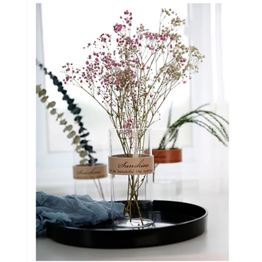 Kūrybos odos stiklo vaza Šiaurės paprastas, skaidrus gėlių vaza džiovintų gėlių hydroponic augalų vaza apdaila