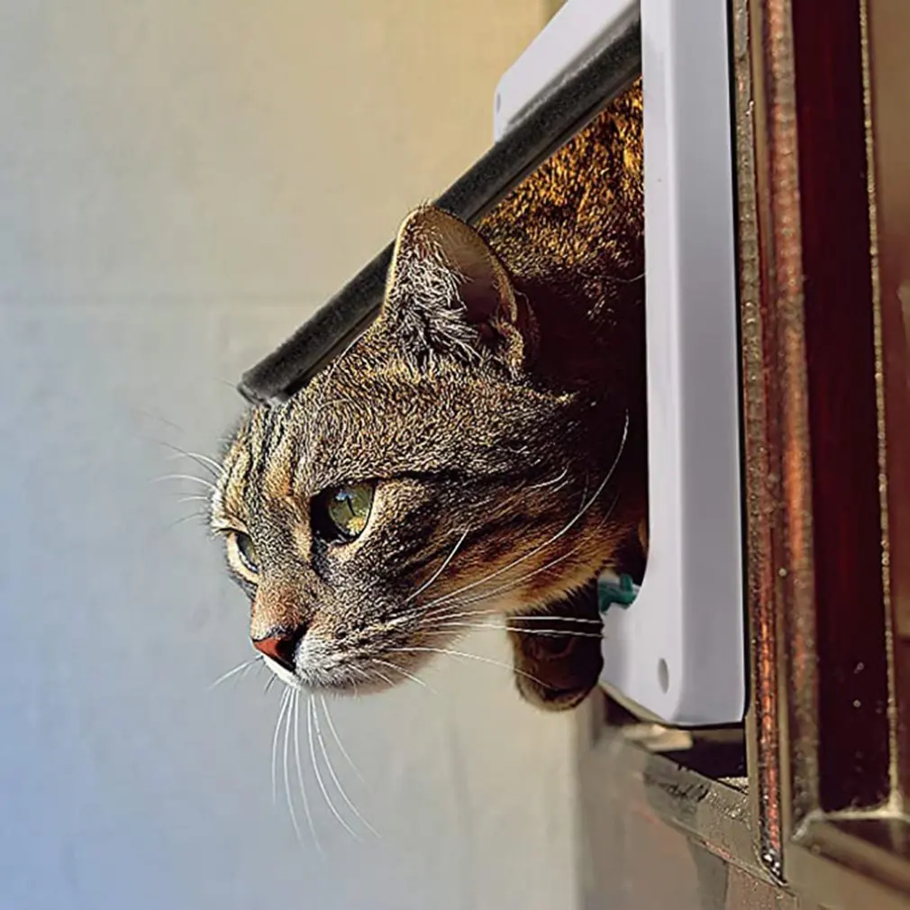 Katės Durys, Katė Skylę Šuo Durų Skylę Valdomas Prieigos Kryptimi Pet Durų Kačių Veislynas Dvipusis Saugumo Durys, Naminių Reikmenys