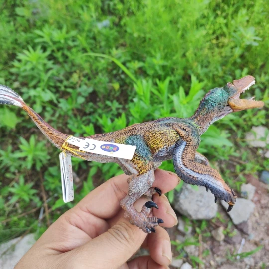Papo Naujas Velociraptor Irritator Labiausiai Klasikinis Senovės Padarai Modeliavimas Gyvūnų Žaislų Kolekcija Dinozauras