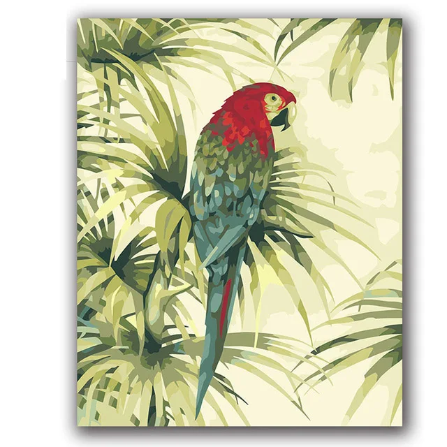 Dažai numeriai Papūga su raudona galva macaw nuotrauką dažymas dažymas rinkinių suaugusiems vestuvių dovana hoom dekoras